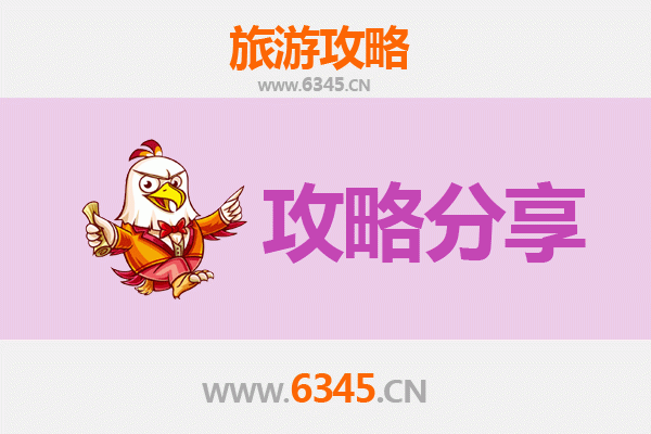 中山东区街道旅游攻略：跟团与自由行深度对比