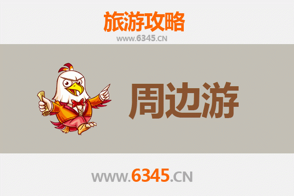 中山东区街道深度游：文艺打卡与美食探索全攻略
