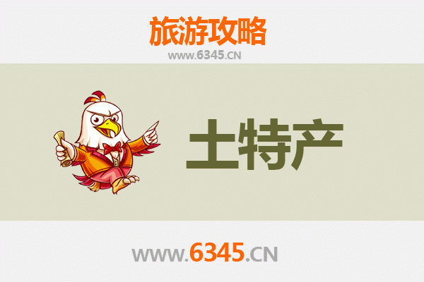 中山东区街道旅游必带土特产推荐